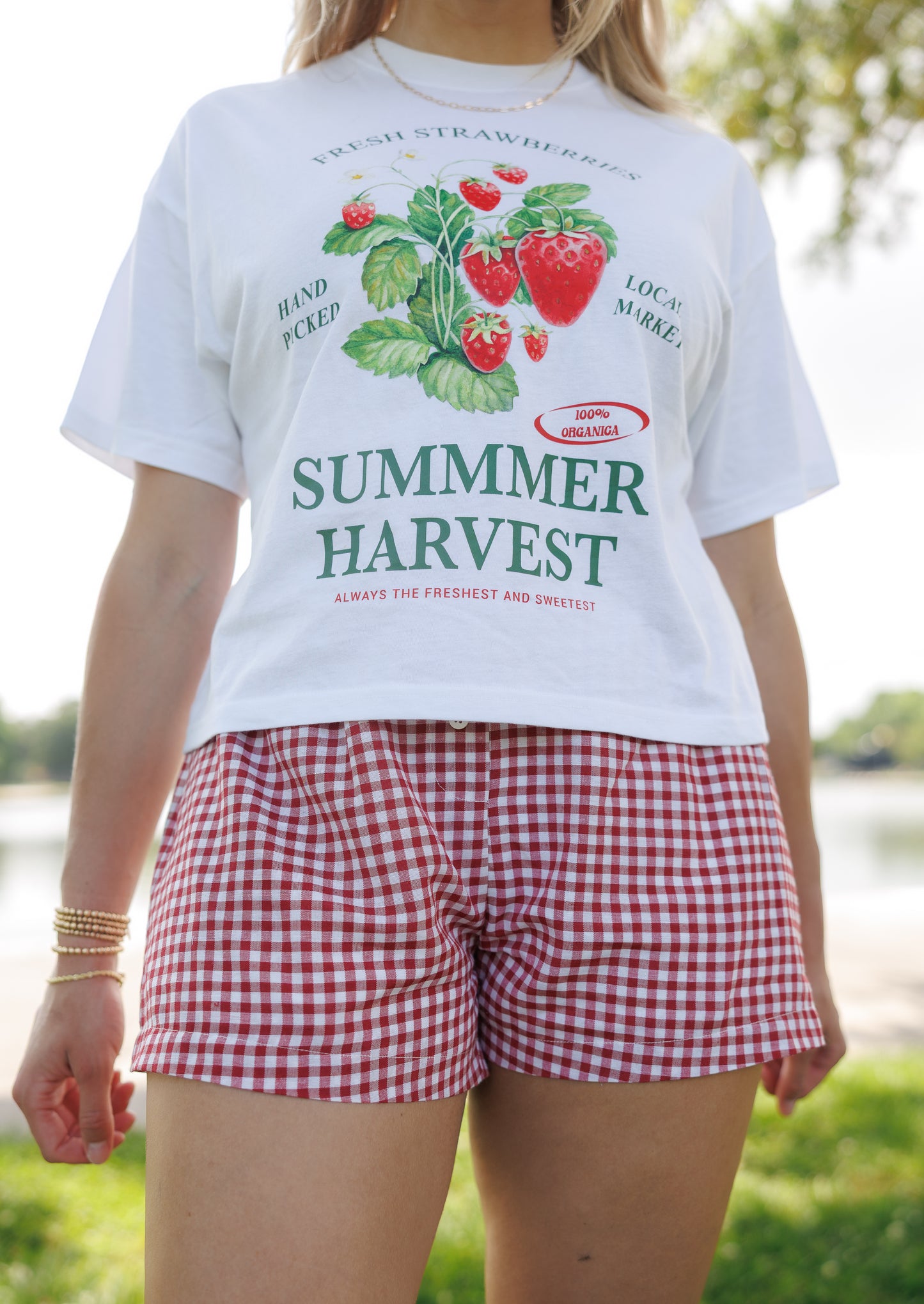 Picnic Dreams Gingham Shorts
