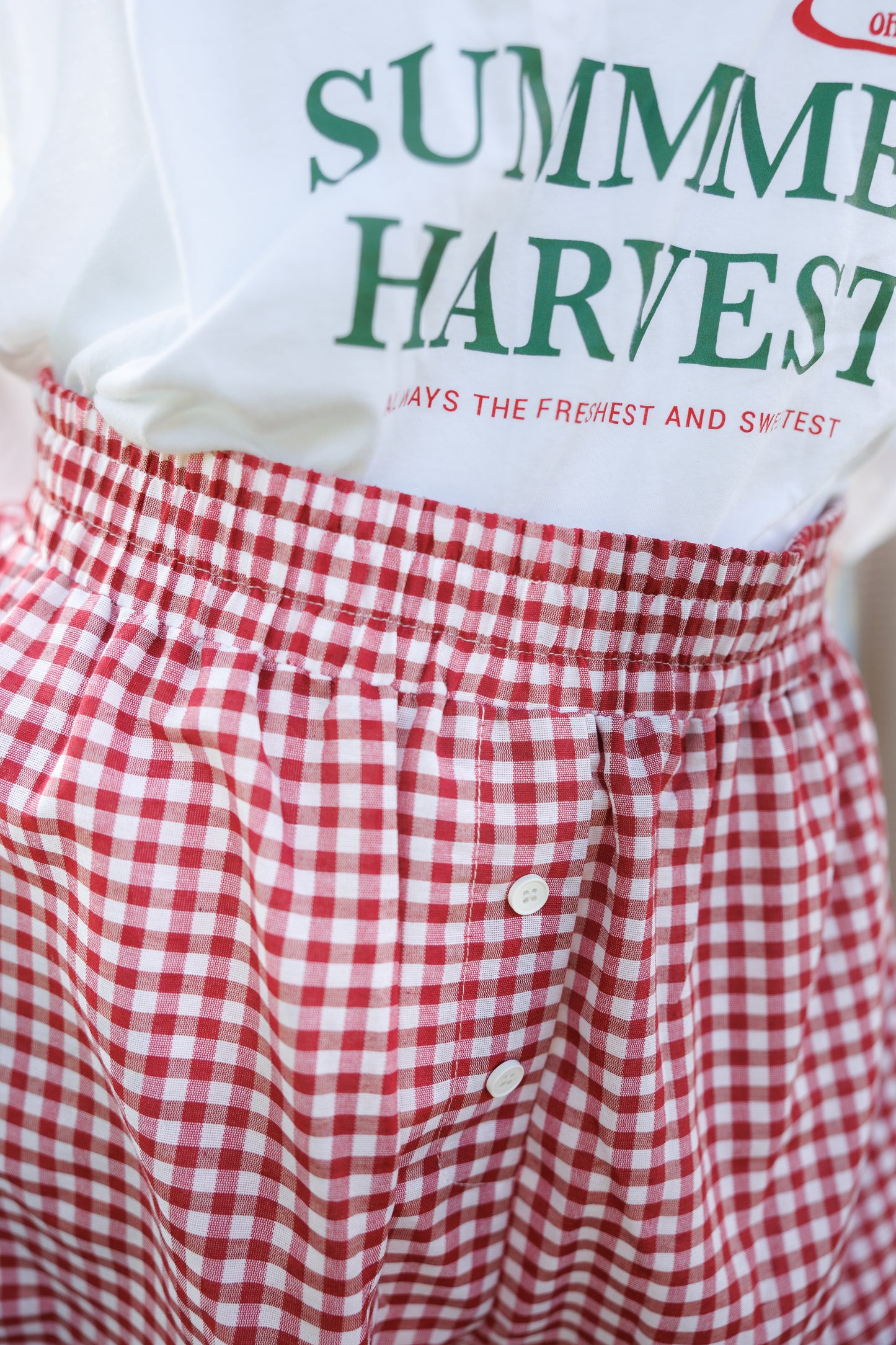 Picnic Dreams Gingham Shorts
