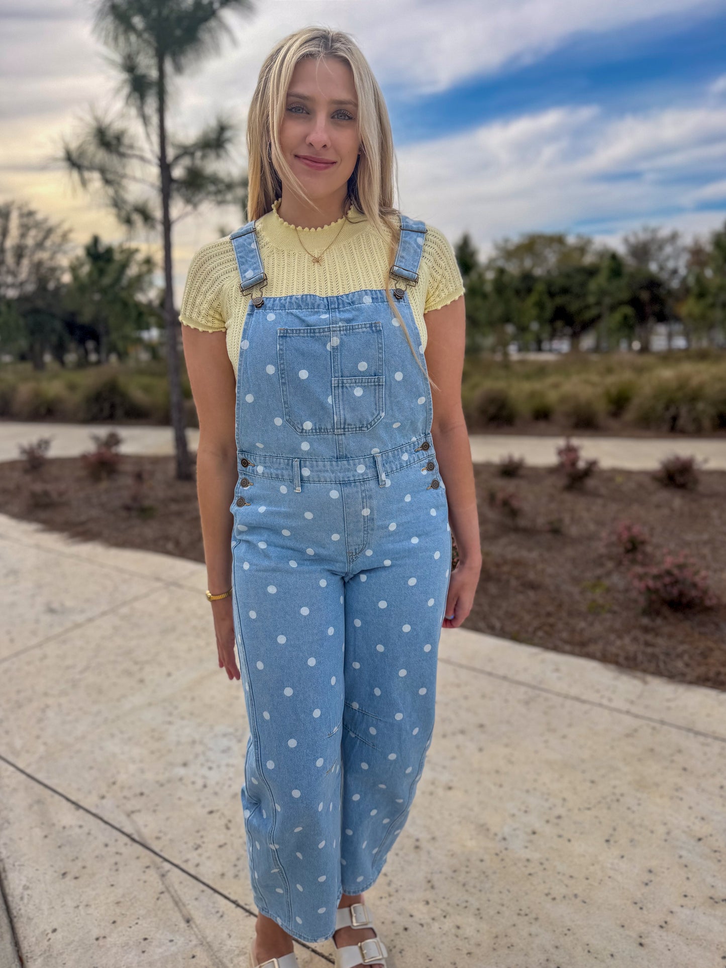 Daisy Lane Overalls