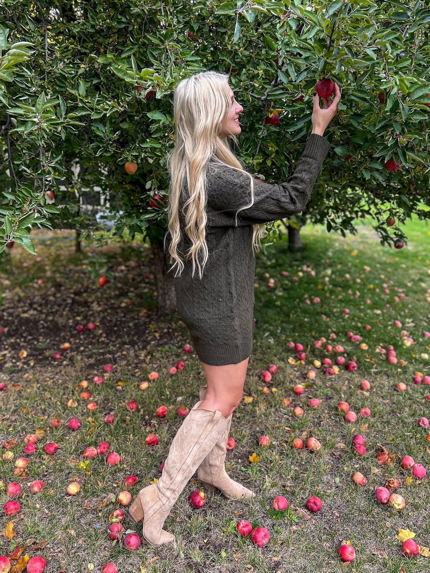 Apple Orchard Sweater Dress