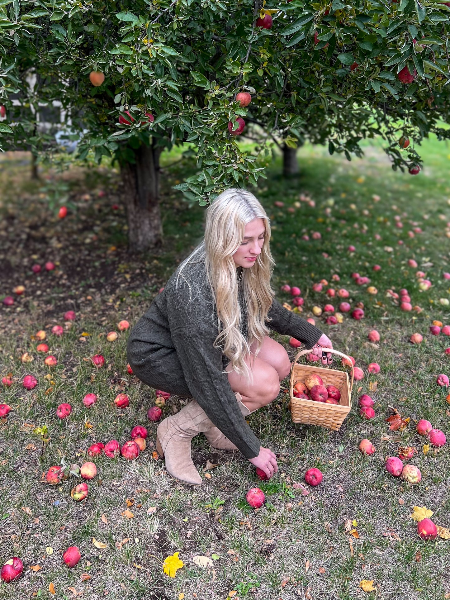 Apple Orchard Sweater Dress