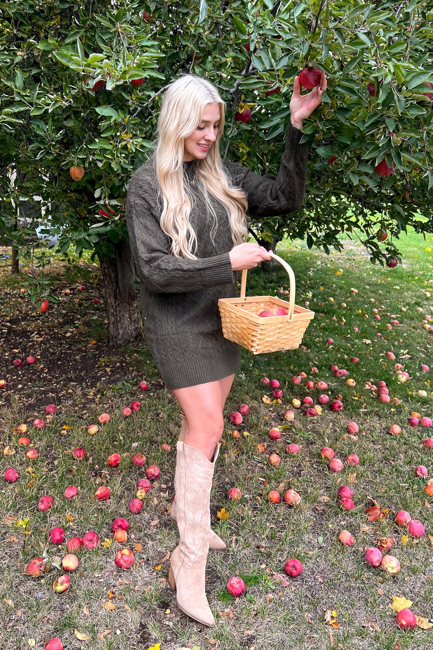 Apple Orchard Sweater Dress